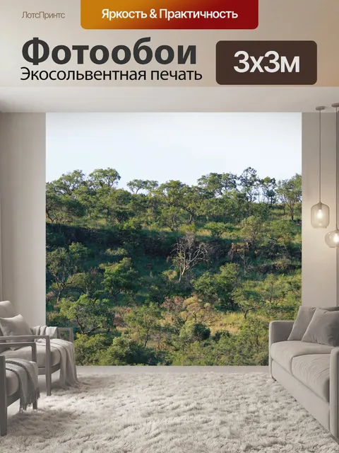 Фотообои Деревья на холме