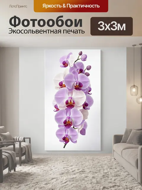 Фотообои Лиловые орхидеи на светлом фоне
