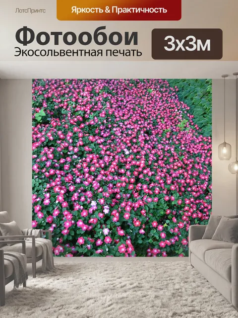Фотообои Цветы
