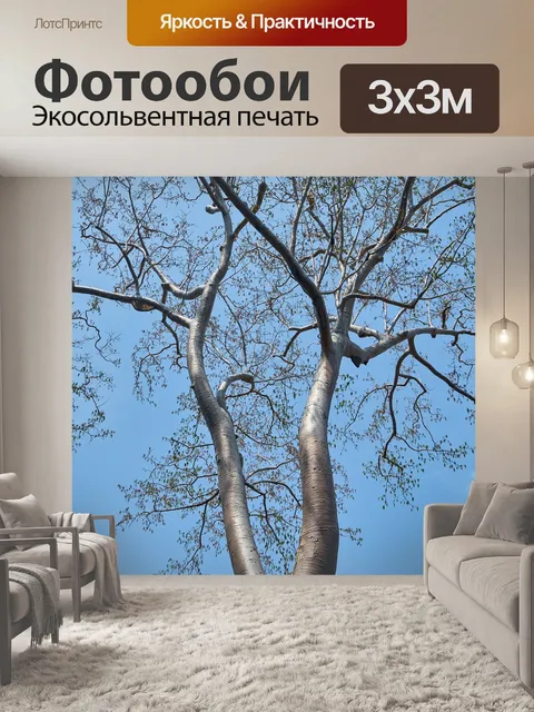 Фотообои Дерево