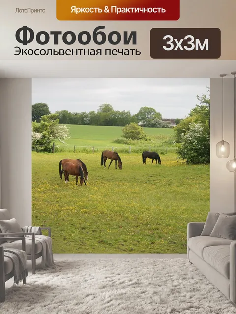 Фотообои Лошади