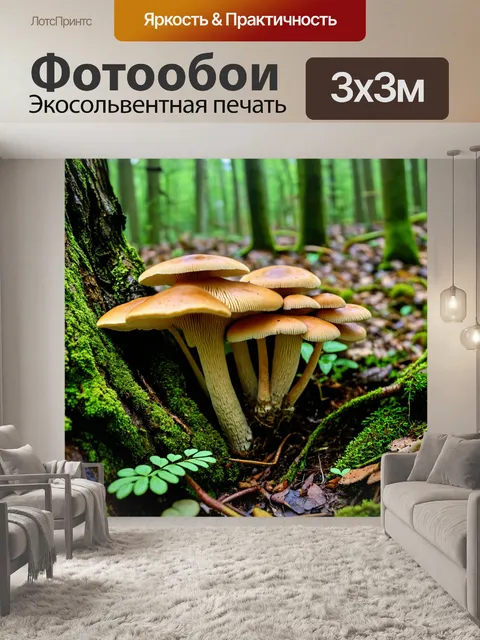 Фотообои грибы биология: экосистема леса с множеством видов грибов, взаимодействующих с деревьями и растениями