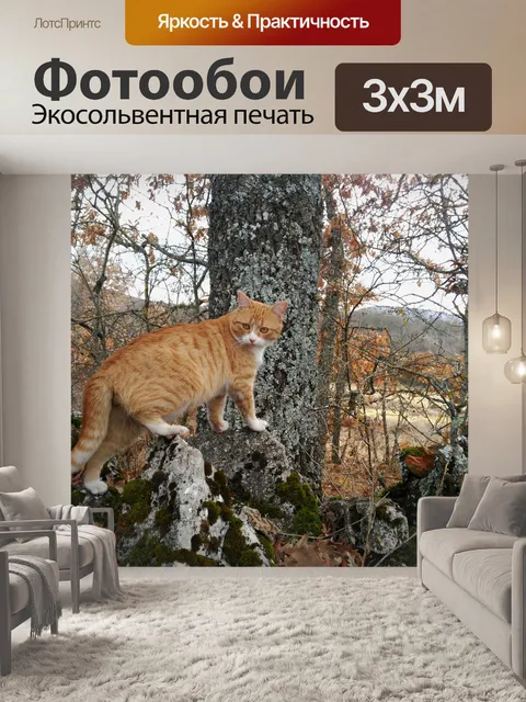 Фотообои Кот