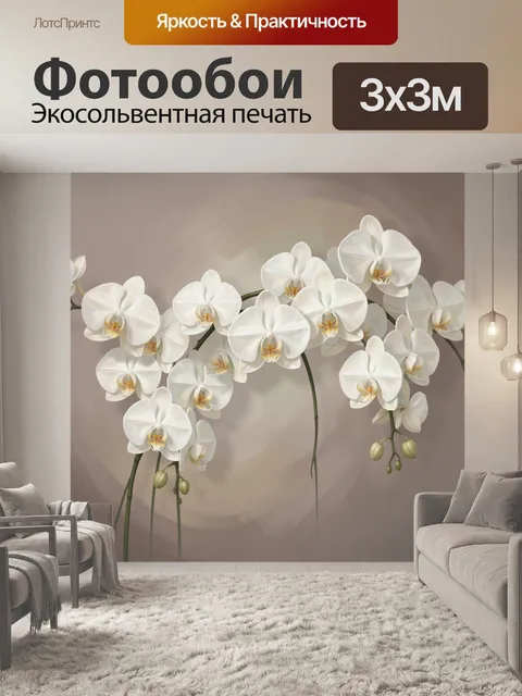 Фотообои Белые орхидеи на мягком фоне