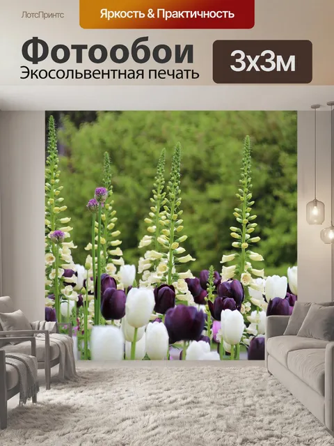 Фотообои Наперсток