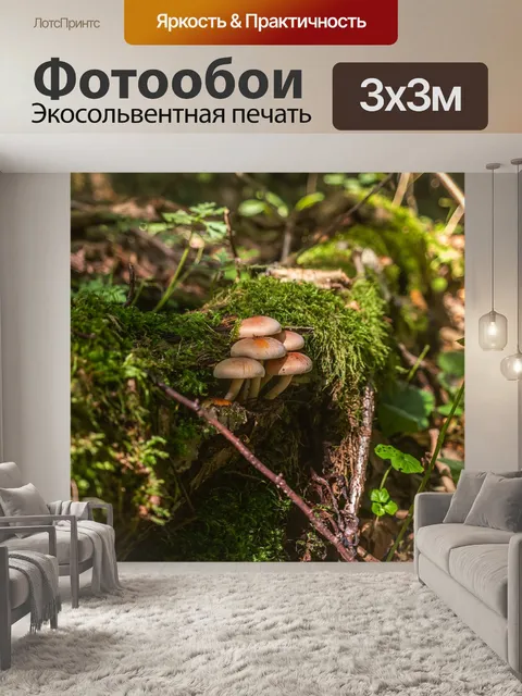 Фотообои Лес