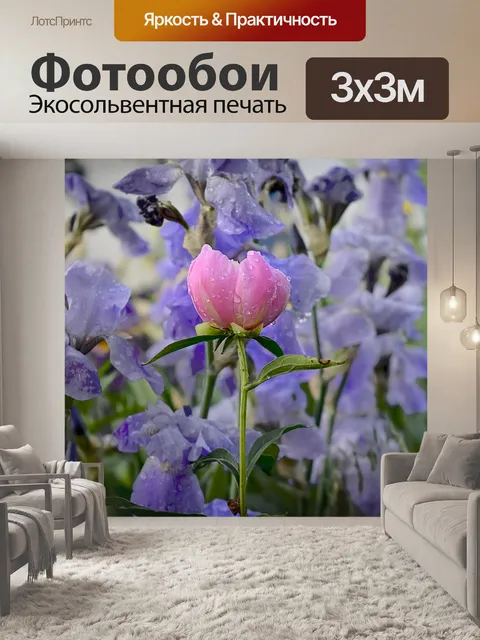 Фотообои Пионы