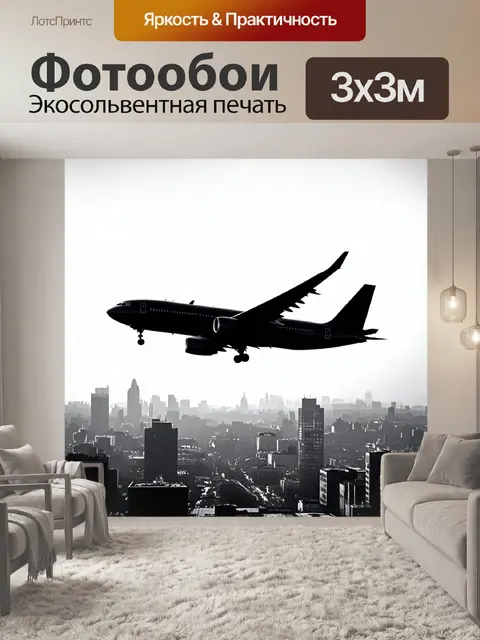 Фотообои самолет в черно-белом стиле, с силуэтом летящего выше шумного города