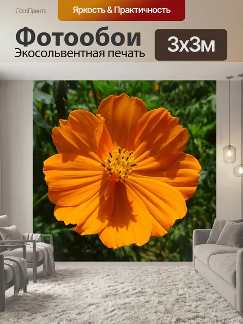 Фотообои Космос