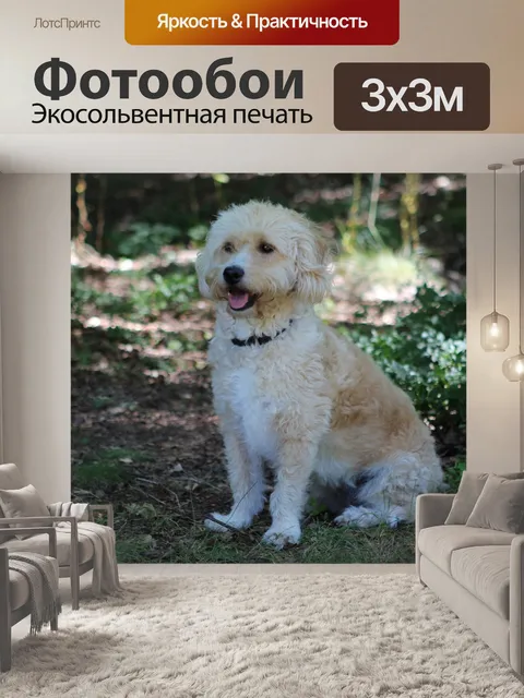 Фотообои Собака