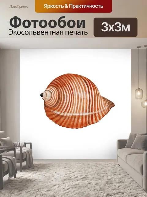 Фотообои Морская ракушка клипарт винтажное искусс