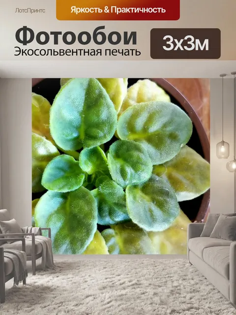 Фотообои Зеленые листья