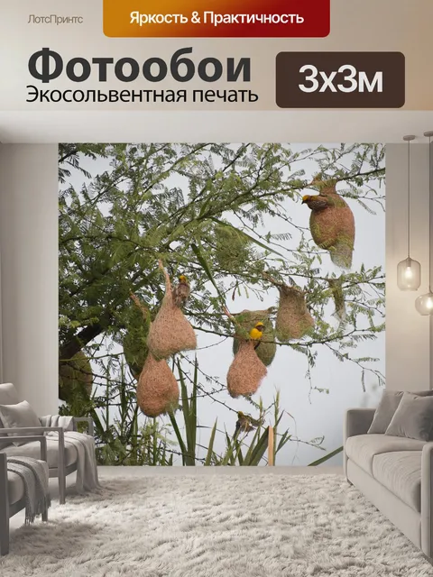Фотообои Портной птица