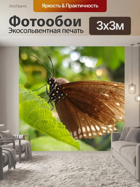 Фотообои Бабочка