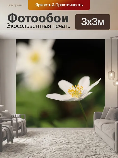 Фотообои Древесные анемоны