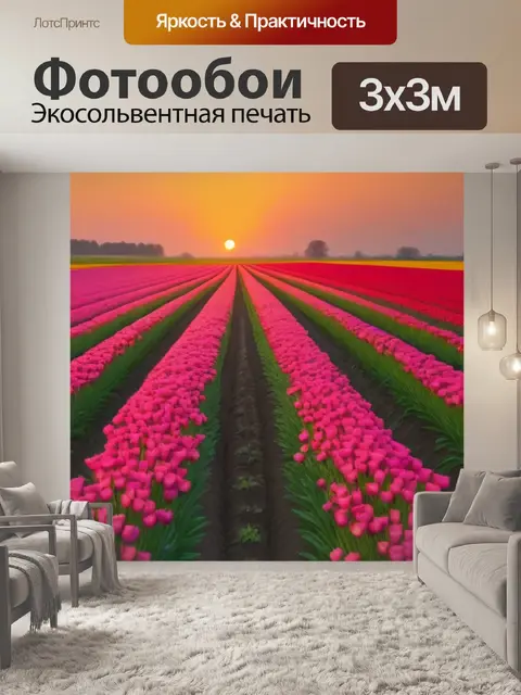 Фотообои поле тюльпанов на закате