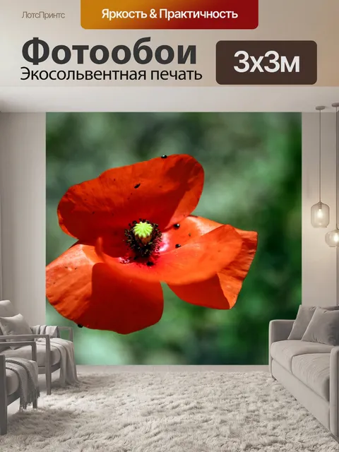 Фотообои Лес