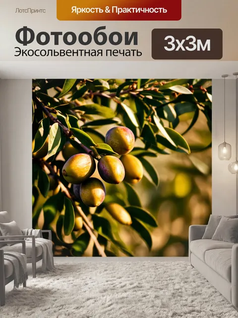 Фотообои прованс, отображающие сезон сбора оливок