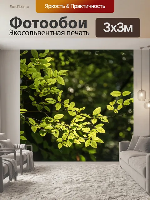 Фотообои Лес