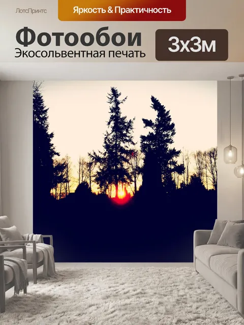 Фотообои Силуэт