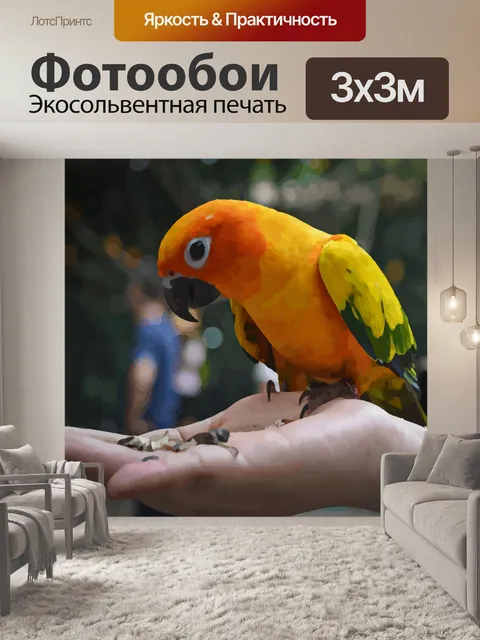 Фотообои Экзотические птицы