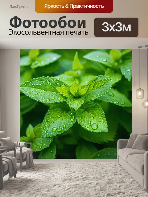 Фотообои мятный цвет, слойныe мятные листья, капли росы, утренний свет, игра света и тени, свежесть и природа, детали…