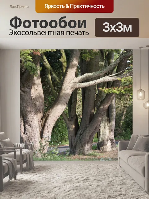Фотообои Деревья