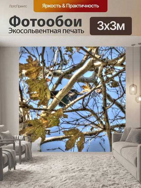 Фотообои птица в кустах