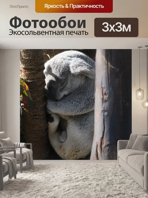 Фотообои Спящая коала