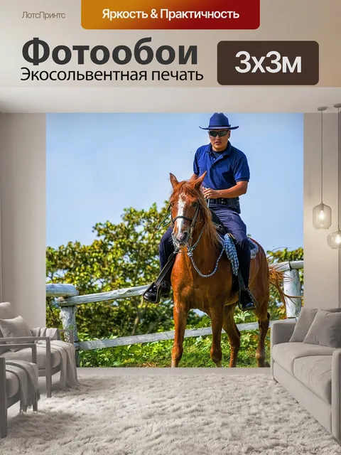 Фотообои Лошадь