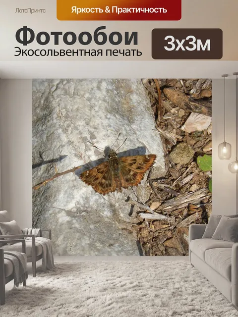 Фотообои Бабочка