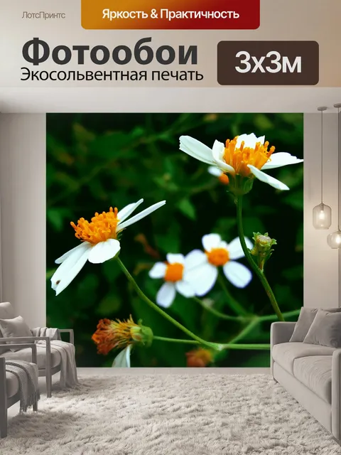 Фотообои Цветы