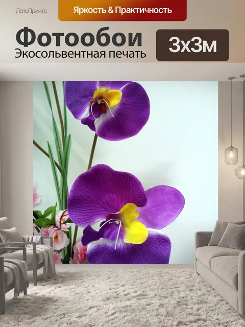 Фотообои исчезать цветок орхидеи