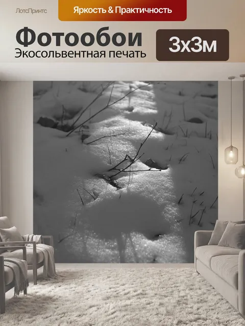 Фотообои Снег
