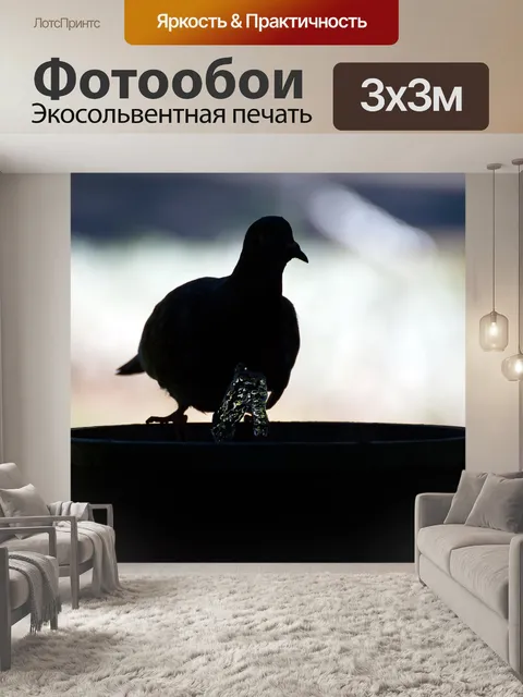 Фотообои Силуэт
