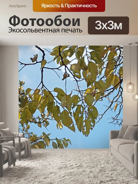 Фотообои Желтые листья дерева