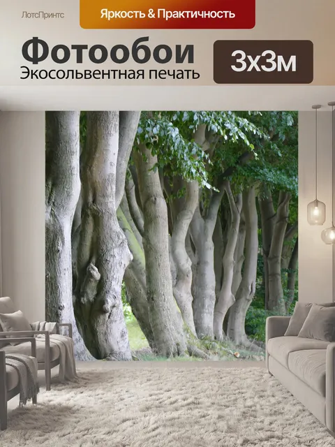 Фотообои Бронировать
