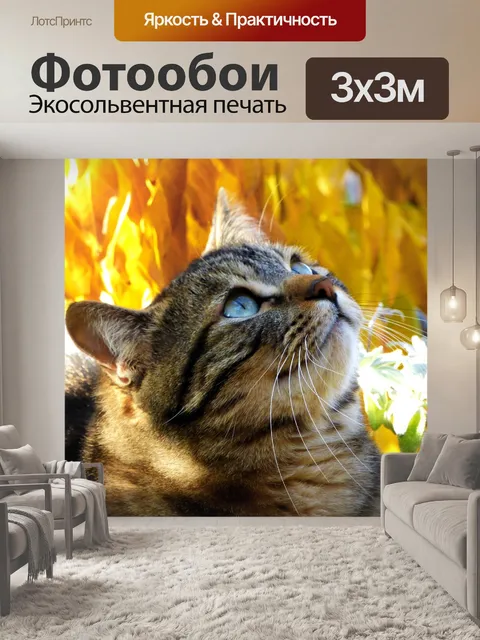 Фотообои Кошка