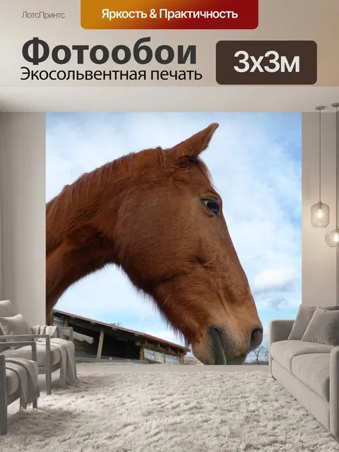 Фотообои Лошадь