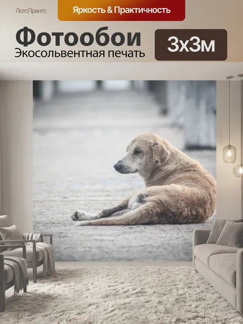 Фотообои Собака