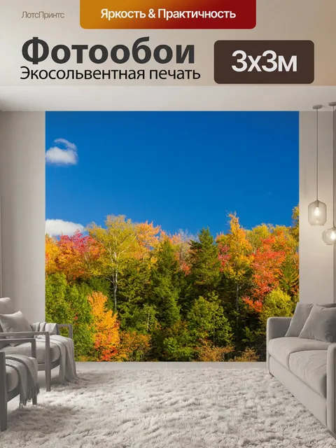 Фотообои Осенняя листва