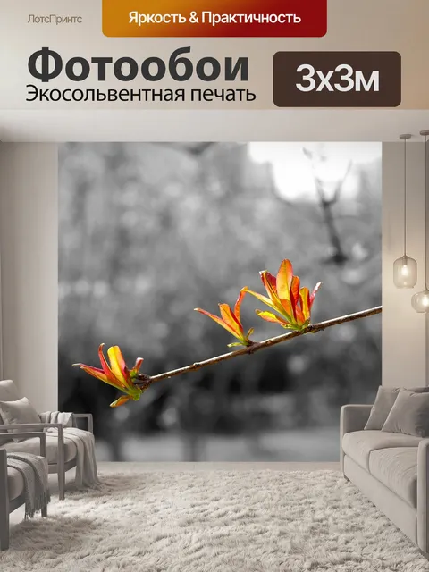 Фотообои Природа