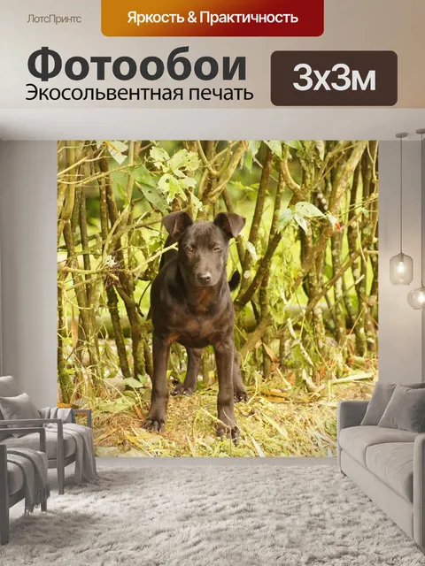 Фотообои Пейзаж