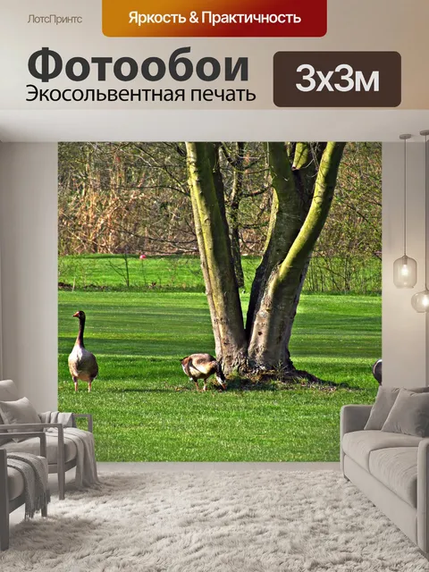 Фотообои Луг