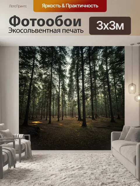 Фотообои лес в стиле минимализм, светлые и темные участки, контраст между ними, создание настроения
