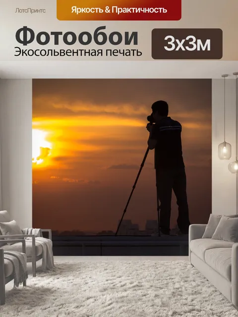 Фотообои Силуэты