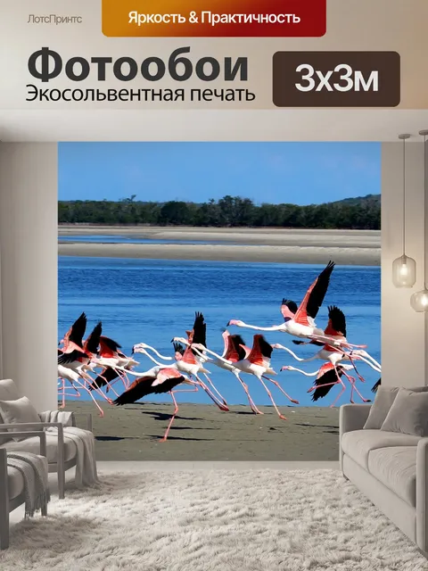 Фотообои Птицы