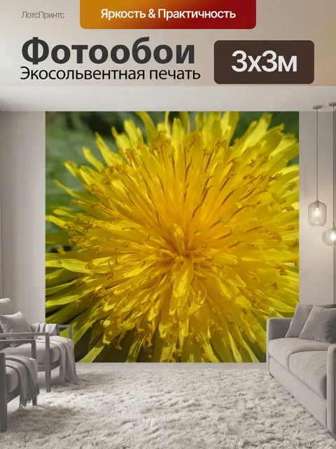 Фотообои Одуванчик