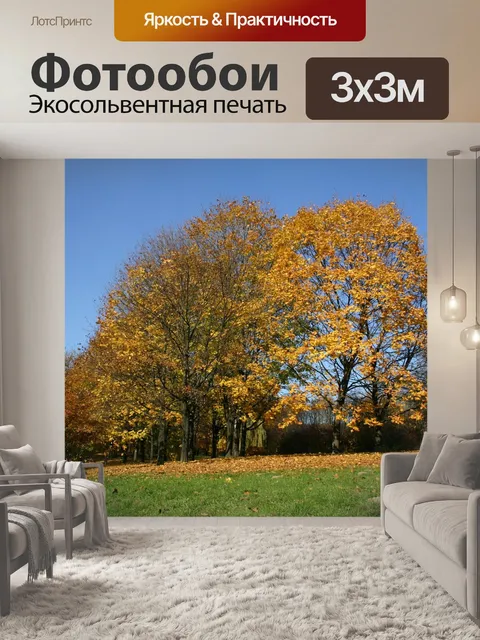 Фотообои Парк