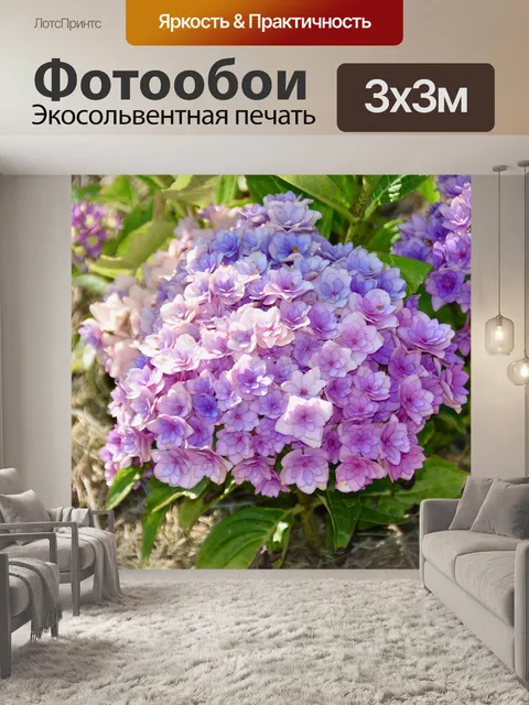 Фотообои Цветы